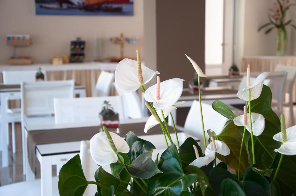 Hotel Park Spiaggia グラード エクステリア 写真